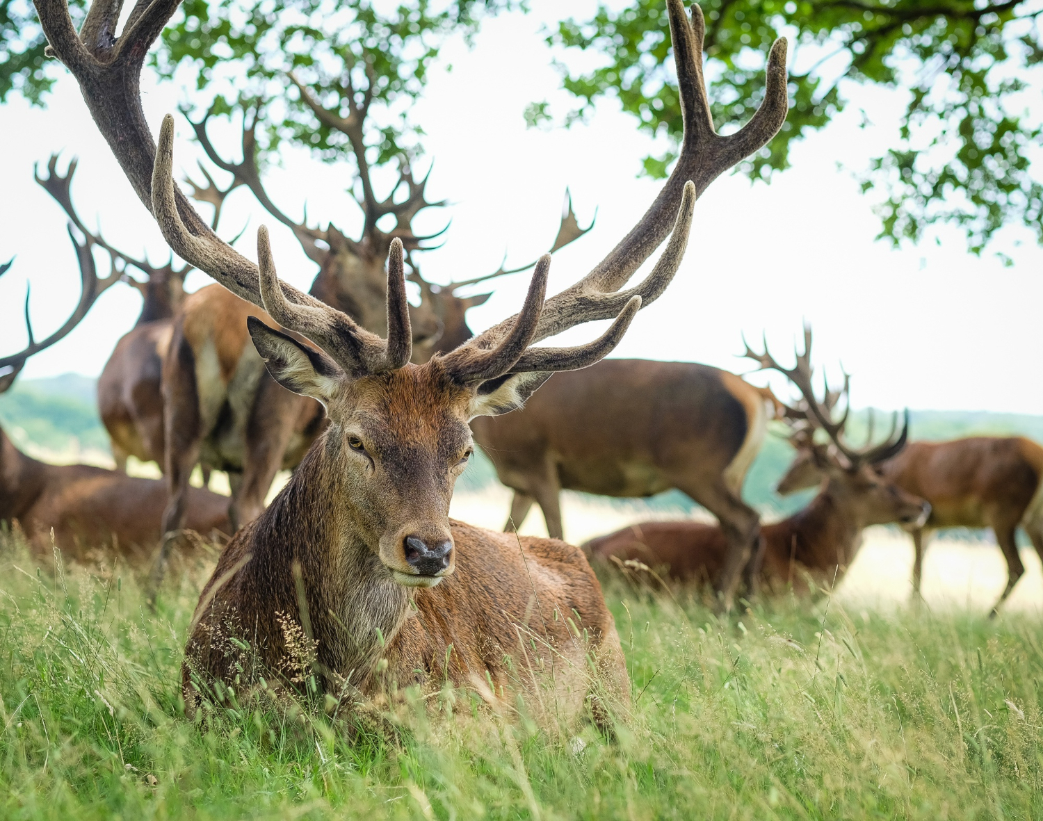 Horton Plains National Park