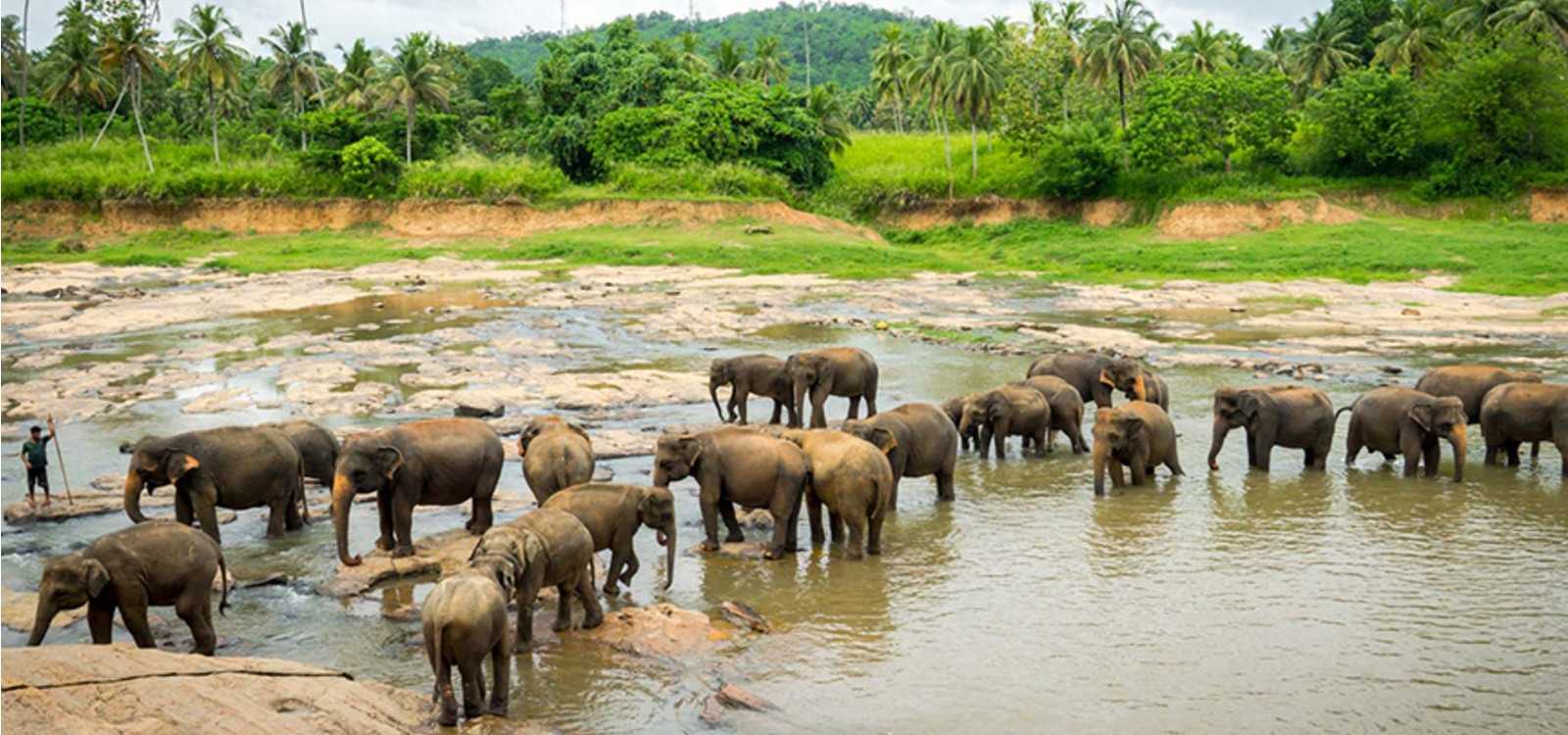 Kegalle