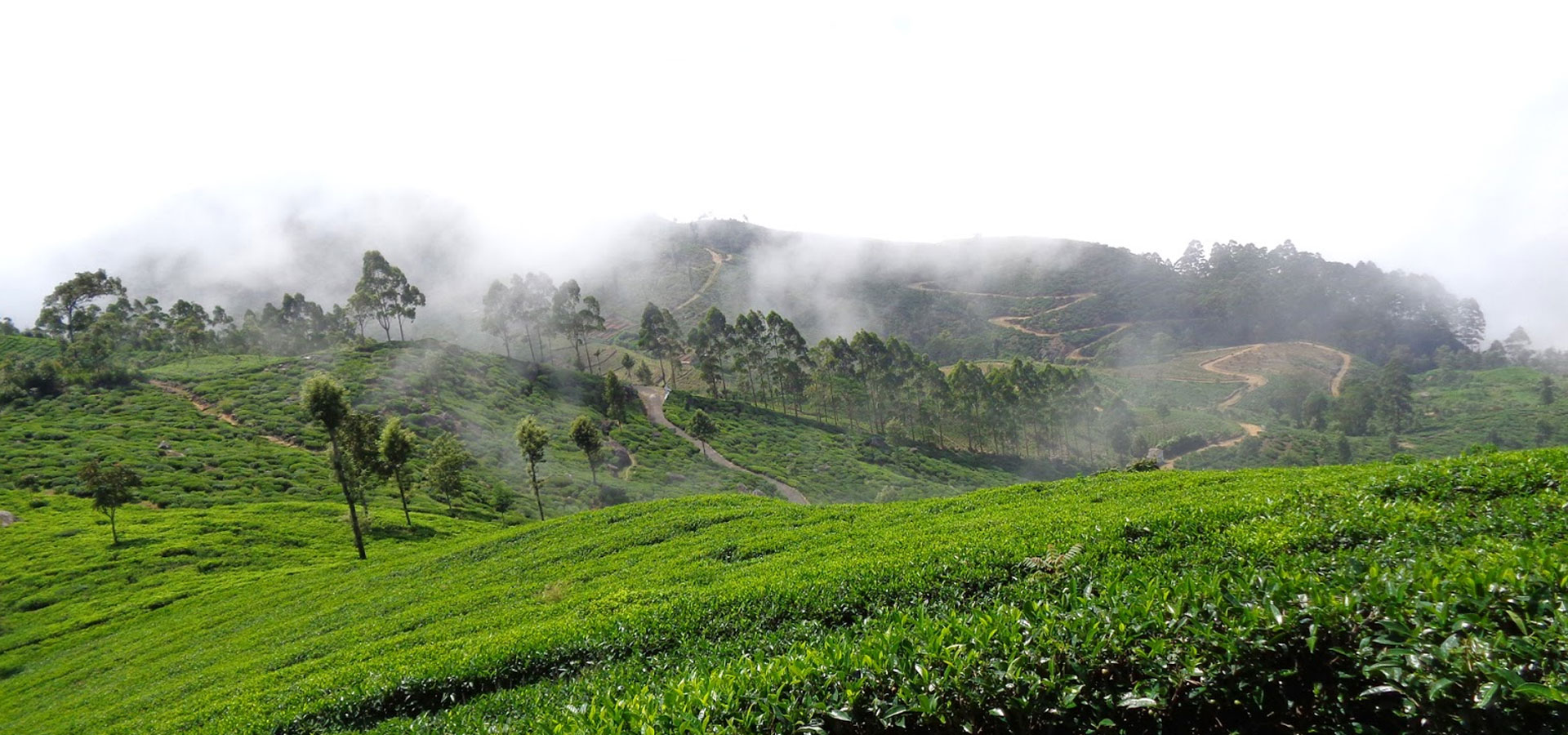 Bandarawela